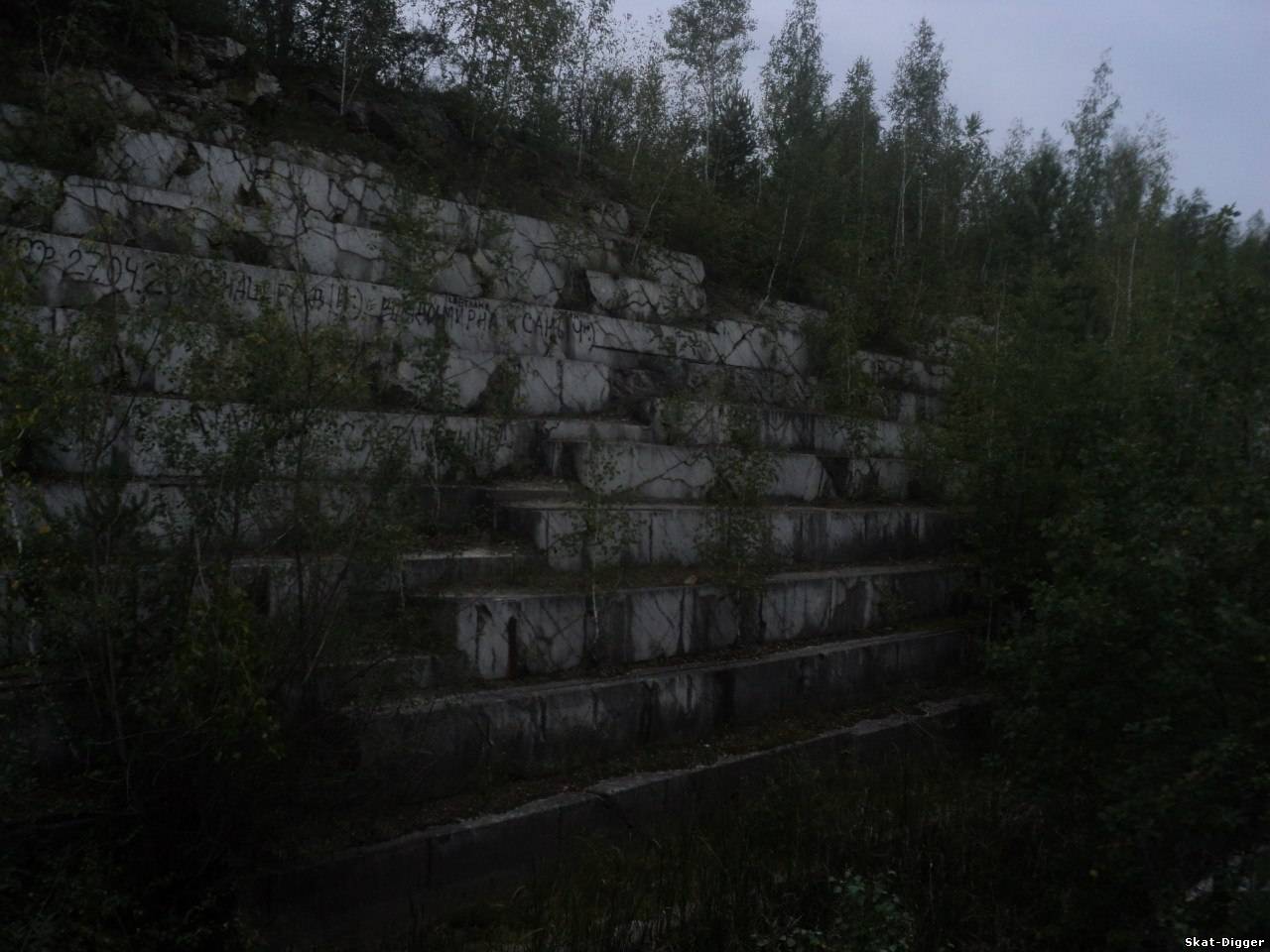 ”Отчет ”Отчет